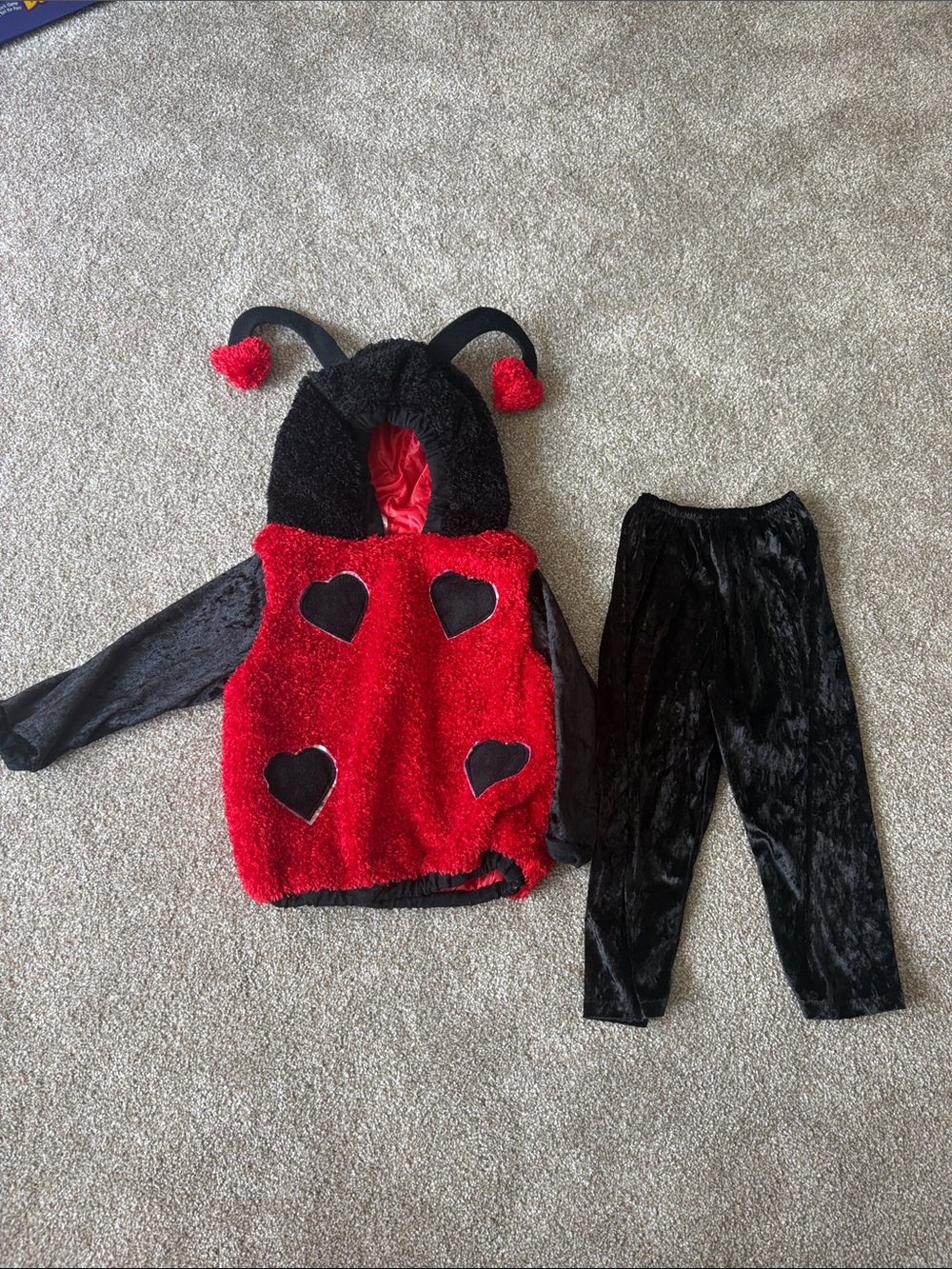 24M Toddler Ladybug Costume